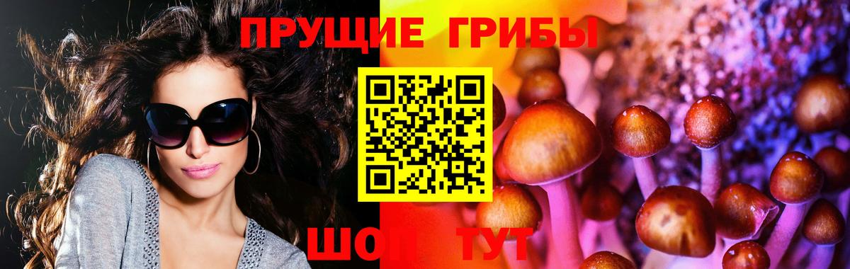 Усть-Лабинск  Галлюциногенные грибы MAGIC MUSHROOMS  Вход с VPN 