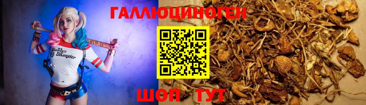 Галлюциногенные грибы прущие грибы Усть-Лабинск